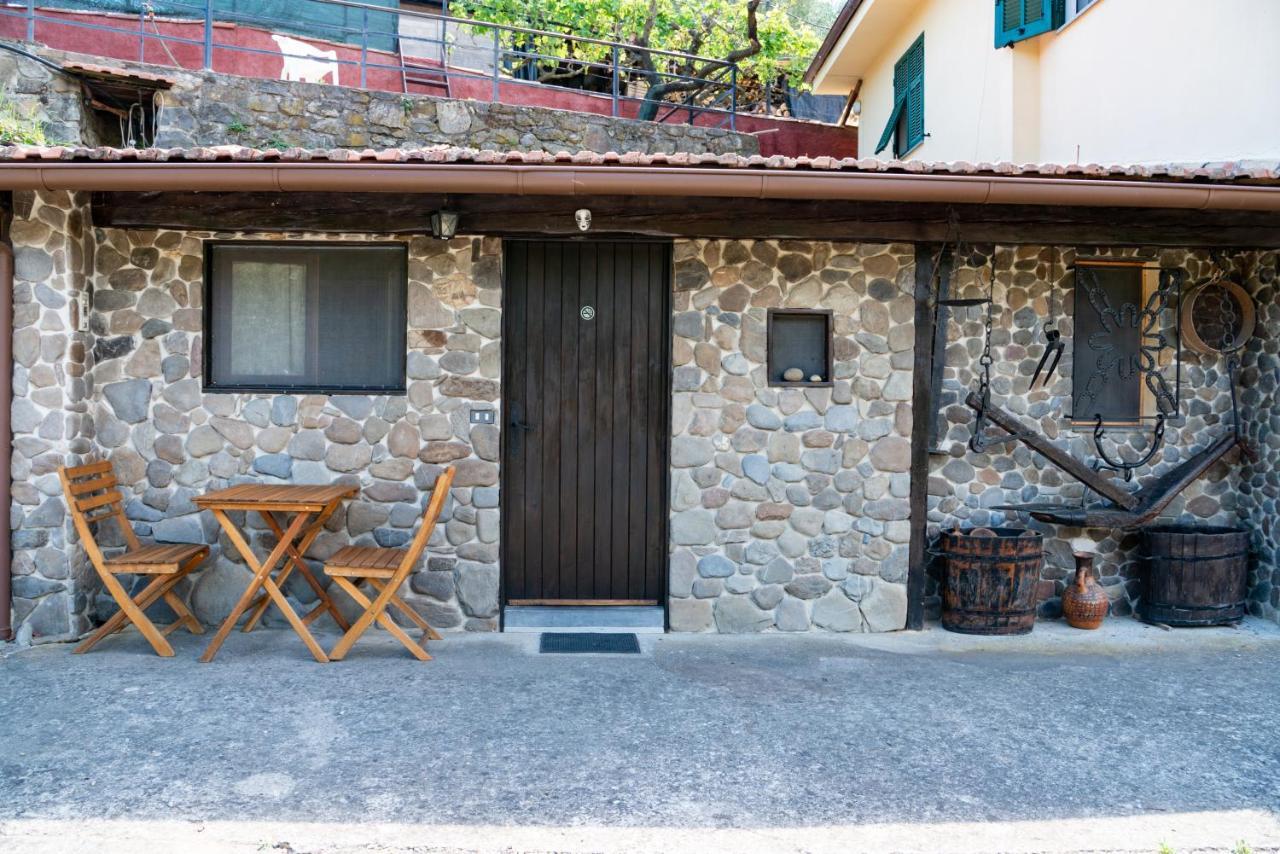 Antica Macina - “La Taverna” Rocchetta Nervina 外观 照片